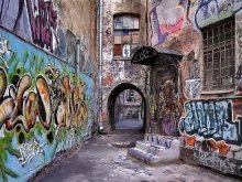 St. Pete Yard / ***