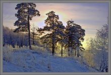 Winter, evening. / ***