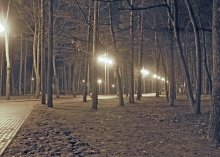 alley park at night / */*