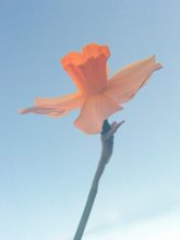 standing alone / ***