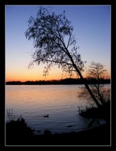 Sunset on Drozdy / ...