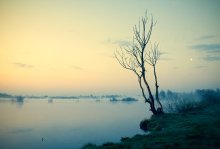 Silence / ***