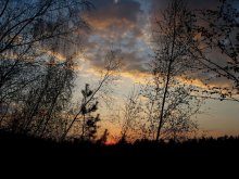 Sunset / ***