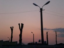 Sunset / ***