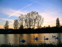 Schwanensee / ***