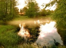 Morning Fog / ***