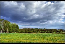sky / ***