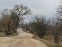 Road / ***