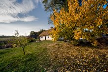 vom Herbst ... / ***