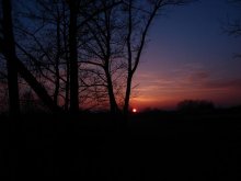 just sun / ***