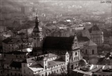 Lions. View from City Hall / ________