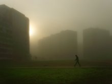 Morning pedestrian / ***