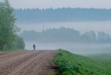 Verschwinden im Nebel / ************