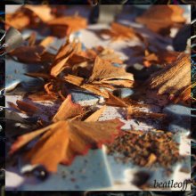 Autumn:) / ***