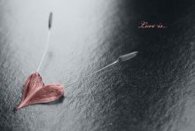 Love is... / ...
