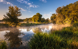 im Vorgriff auf den Fall / ***