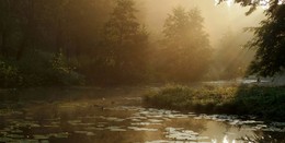 Am Teich ... / ***
