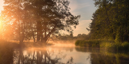 Morning on the river / ***