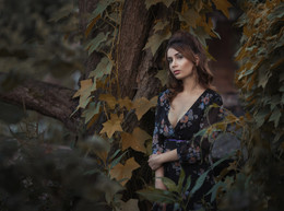 Sasha / ***