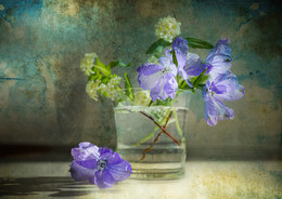 Watercolor / sony nex7