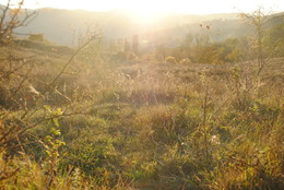Sunstroke / Provita de Jos