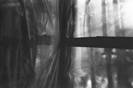 &nbsp; / Ilford pan 100

[img]http://s017.radikal.ru/i413/1607/30/d10d77aed727.jpg[/img]
[img]http://s019.radikal.ru/i628/1607/fd/8c2d15ccef8b.jpg[/img]