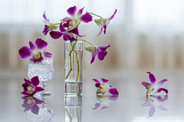  / sony nex7 helioa44m4