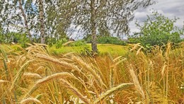 unser Reichtum / ***