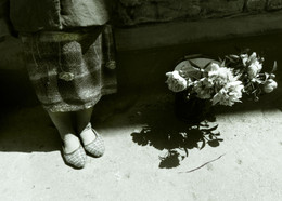 Flowers / ***