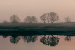 Trees / ***
