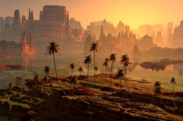 In warmer climes ... / ***
