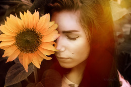  / Sunflower