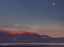 The Moon and the Sun / ***