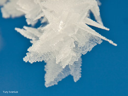 Icicles / ***