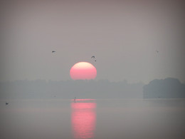Dawn / ***
