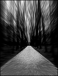 Schwarzweißfilm / ***