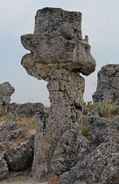 &nbsp; / [img]http://rasfokus.ru/upload/comments/7b99ead92a757caeae02ce2e7df2b477.jpg[/img]
[img]http://rasfokus.ru/upload/comments/dc45bccced484ba081b18676becc2004.jpg[/img]
