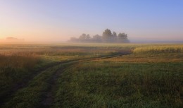 Morning fog. / ***