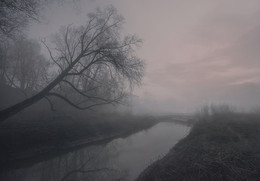 Nebel / ***