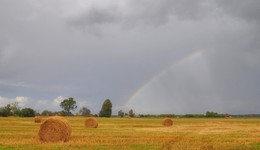 Vor dem Regen / ***
