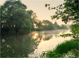 misty dawn / ***