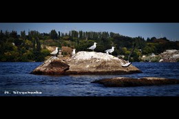 Kleine Insel / ***