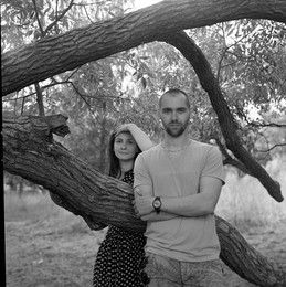  / yashica