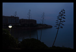 Soon the morning ... / ***