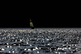  / Canon 60d, Canon 70-200, iso200, f6.3, 1/4000
