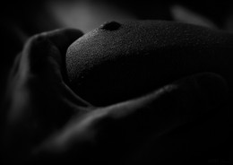 &nbsp; / ***