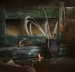 From the series "Secrets of an old closet ..." / ...