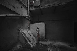 Habitat / ***