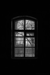 Loneliness / ***