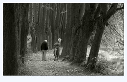 curiosity / ***